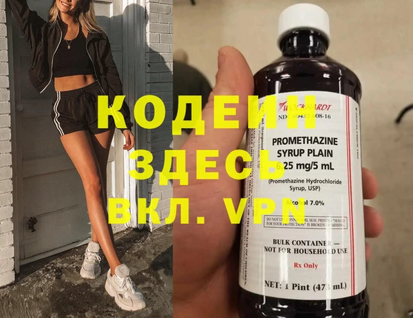 мдпв Богданович