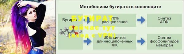 мдпв Богданович