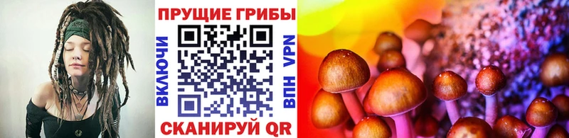 Галлюциногенные грибы Cubensis  купить   Дудинка 